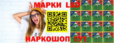 индика Комсомольск-на-Амуре
