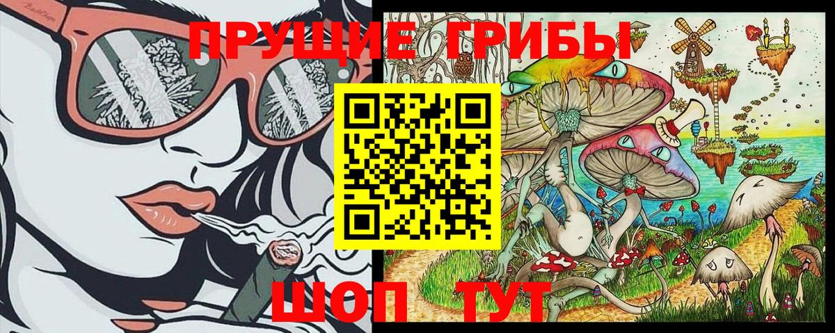 Камень-на-Оби  Псилоцибиновые грибы GOLDEN TEACHER  Вход с VPN  Псилоцибиновые грибы Magic Shrooms 